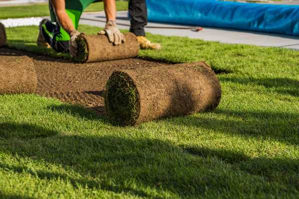 Turf Laying and Repairs